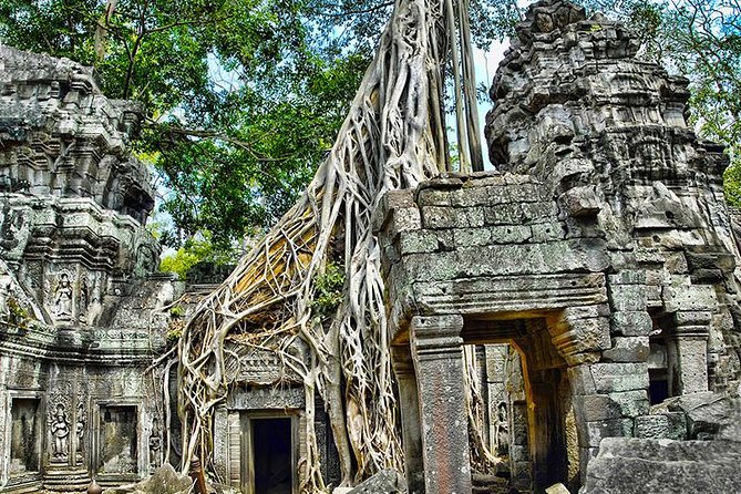 Angkor Wat Private Tour in a Tuk Tuk - Ta Prohm, where ruins and trees share the stage