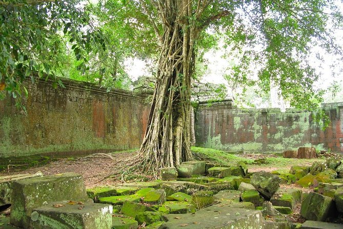 Angkor Wat Private Tour with English Speaking Driver, NO guide - Ta Prohm: the shortest stop needs attention