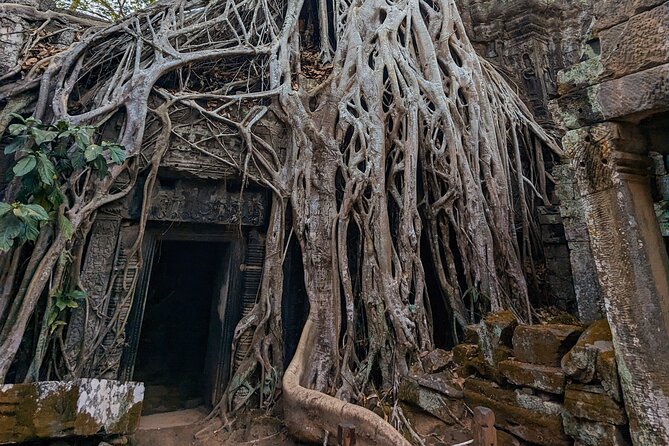 Angkor Wat Private Tuk-Tuk Tour (sunrise Option) & more - What your driver does, and what he does not do