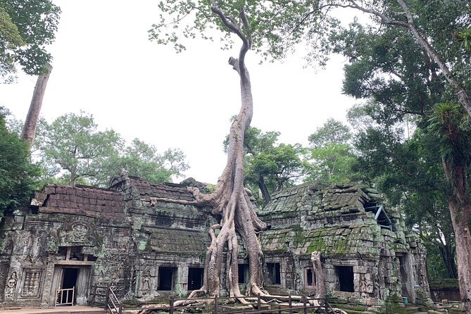 Angkor Wat Small Circuit & Sunset Tour - Bayon and Angkor Thom: faces, gates, and the sunset finish