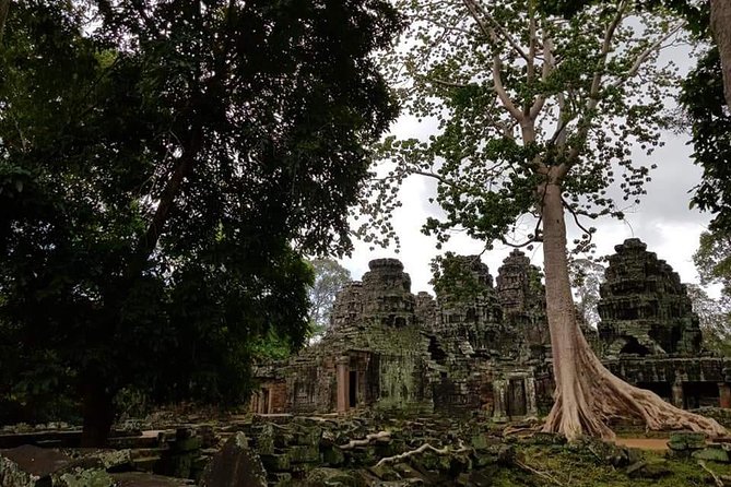 Angkor Wat Small Circuit Tour - Ta Prohm: the atmospheric Tomb Raider temple