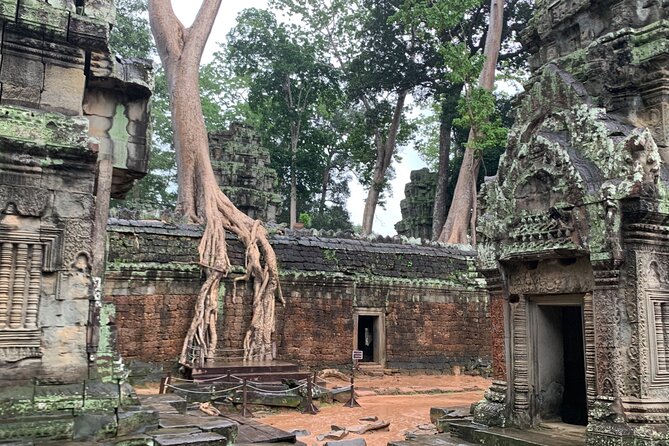 Angkor Wat Small Circuit Tour - Banteay Kdei: a calmer final temple