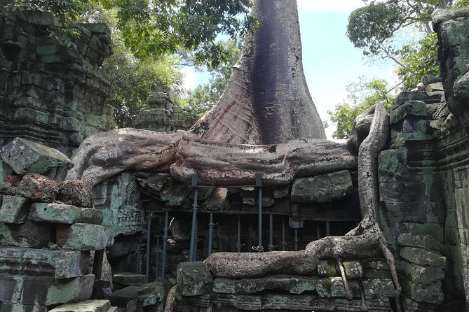 Angkor Wat Small Circuit Tour - What the private vehicle adds to the day