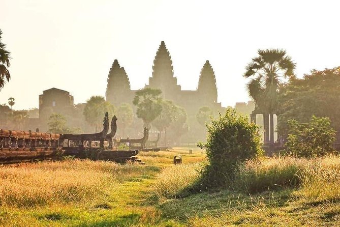 Angkor Wat Small-Group Exploration with Expert Guide - Ta Prohm: beautiful ruins with a practical downside