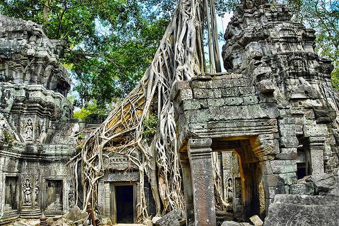 Angkor Wat Small-Group Exploration with Expert Guide - Lunch, clothing, and the real cost