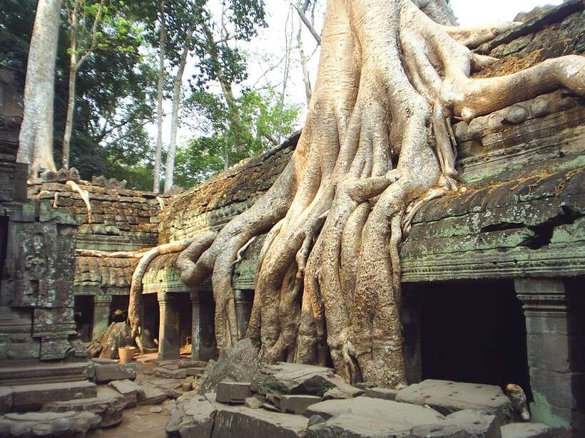 Angkor Wat: Small-Group Tour with Balloon Ride and Lunch - Key points at a glance