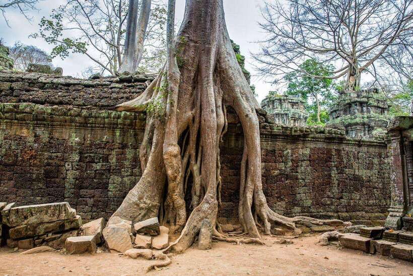 Angkor Wat Small Tour Sunrise With Private Tuk Tuk - A Private Tuk-Tuk Is the Main Value