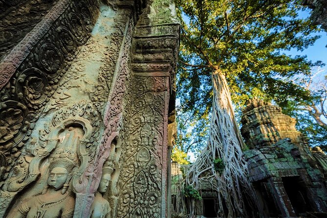Angkor Wat Sunrise & All Highlight Angkor Temple Private Day Tour - The Terrace of the Elephants and the Leper King