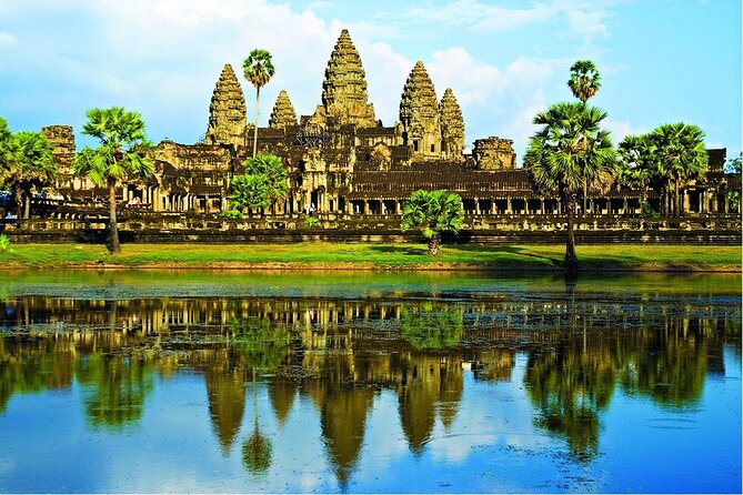 Angkor Wat Sunrise & All Highlight Angkor Temple Private Day Tour - Ta Prohm and the trees that took over