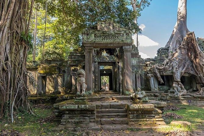 Angkor Wat Sunrise: Exclusive Private Tour! - Ta Prohm, where stone meets jungle