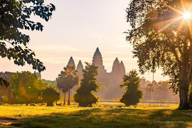 Angkor Wat Sunrise Guided Join-In Tour/Private Tour - Ta Prohm: roots, ruins, and the Tomb Raider connection
