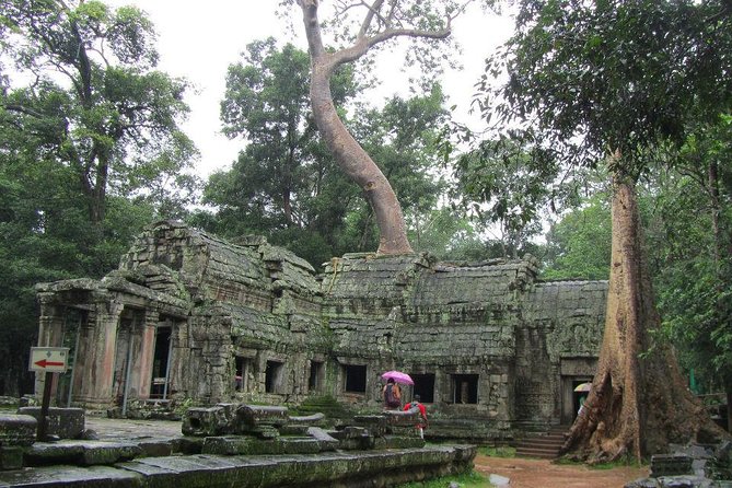 Angkor Wat Sunrise Guided Join-In Tour/Private Tour - Is $23 a good value?