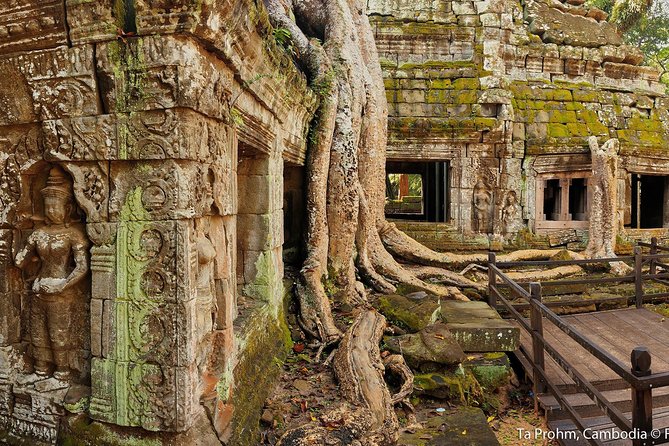 Angkor Wat Sunrise or Sunset Tour with Guide from Siem Reap - Ta Prohm and the trees among the stones