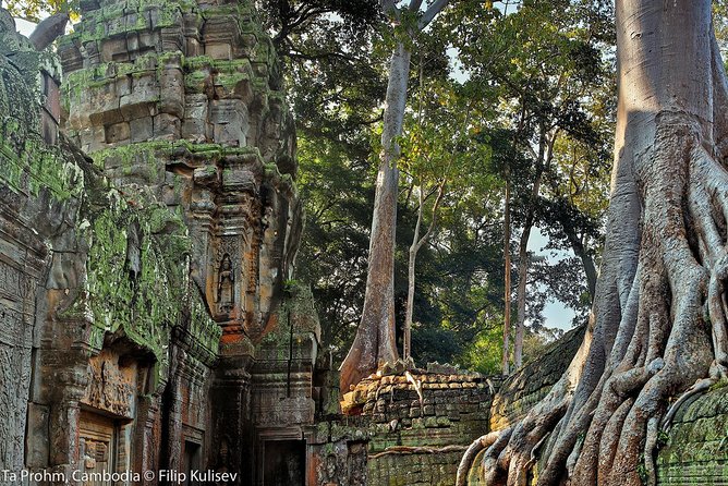 Angkor Wat Sunrise or Sunset Tour with Guide from Siem Reap - Why the guide matters so much