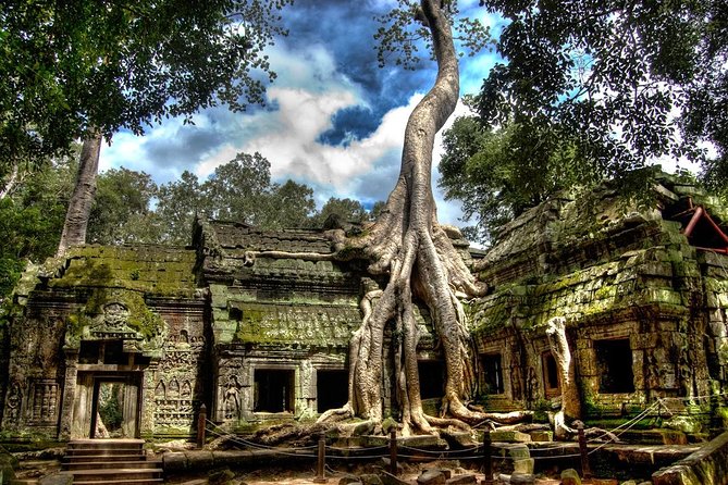 Angkor Wat: Sunrise or Sunset Tours with Tuk Tuk - Sunrise or sunset: choose the rhythm that suits you