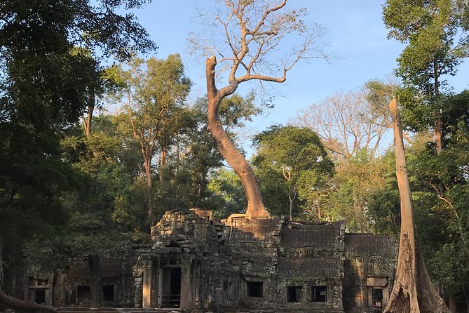 Angkor Wat Sunrise Private Tour by Vintage Jeep - Why this sunrise route works