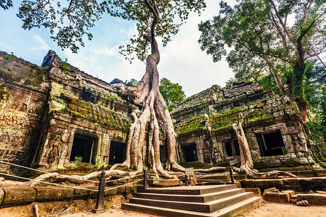 Angkor Wat, Ta Promh, Banteay Srei, Bayon temples Private Tour - Ta Prohm, where stone meets trees