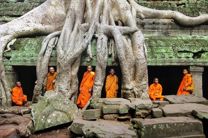 Angkor Wat Temples Tour with Entrance Ticket and Lunch - Ta Prohm and the Power of Tree Roots