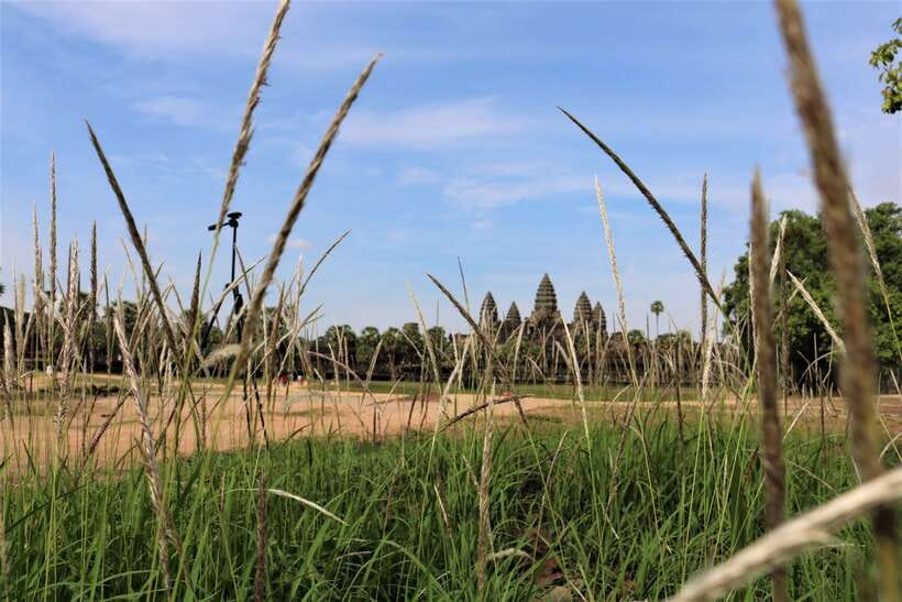 Angkor Wat: Tuk Tuk and Walking Tour - Who should book this seven-hour temple day
