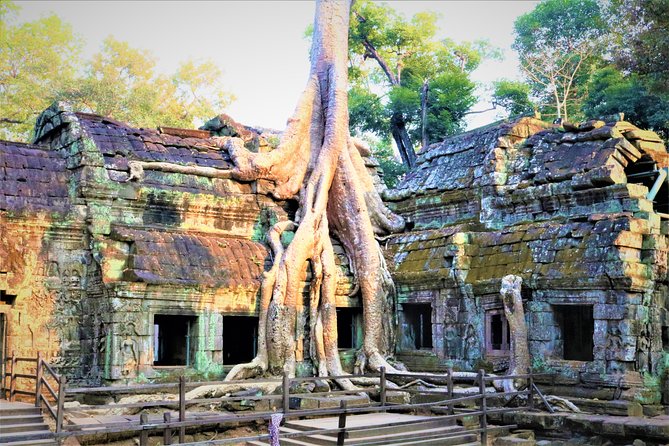 Angkor World Heritage with Sunrise - Small Group - Who should book this tour