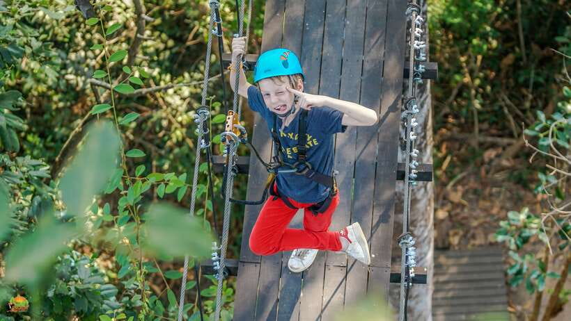 Angkor Zipline Eco-Adventure Canopy Tour - Key points to know before you book
