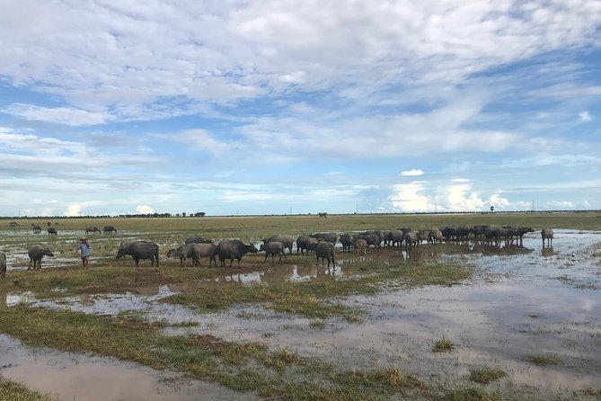 Authentic Cambodian Countryside Jeep Experience - Duck fields and family farming
