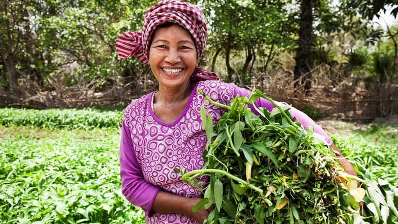 Back to Basics: Siem Reap Village Tour in Cambodia - Leaving Siem Reap for a working village