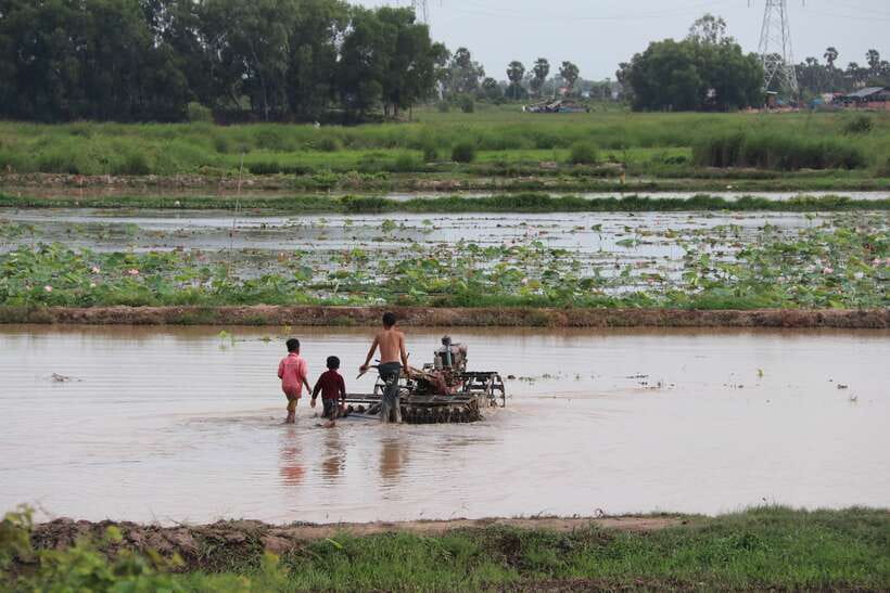 Back to Basics: Siem Reap Village Tour in Cambodia - Lunch beside the lake