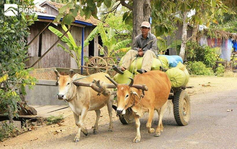 Back to Basics: Siem Reap Village Tour in Cambodia - What can change from one departure to another