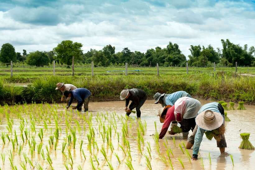 Back to Basics: Village Life Tour from Siem Reap - Key points at a glance