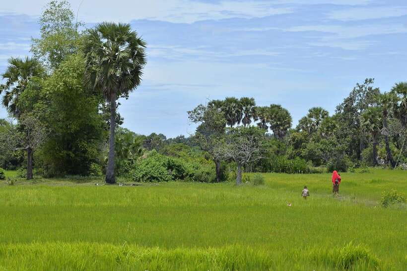 Back to Basics: Village Life Tour from Siem Reap - Leaving Siem Reap for village roads