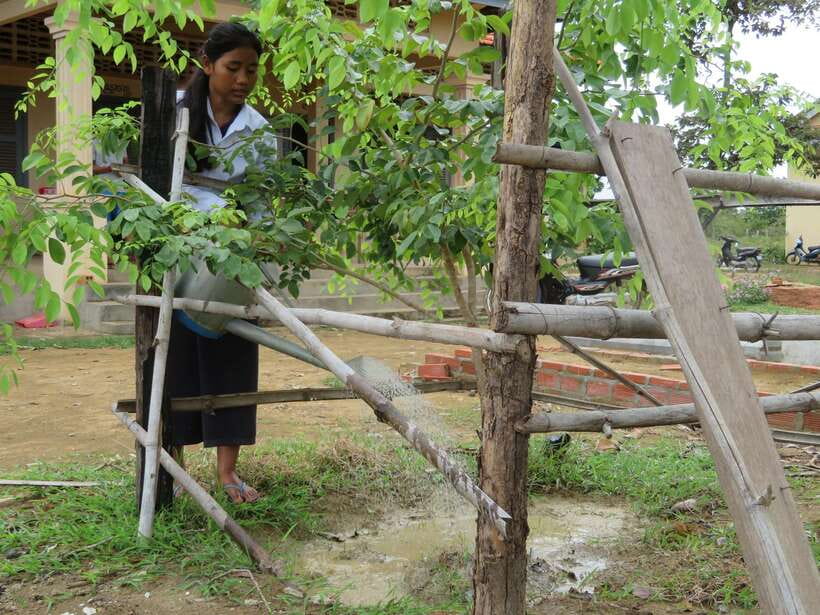 Back to Basics: Village Life Tour from Siem Reap - Markets, palm juice, and the taste of ordinary Cambodia