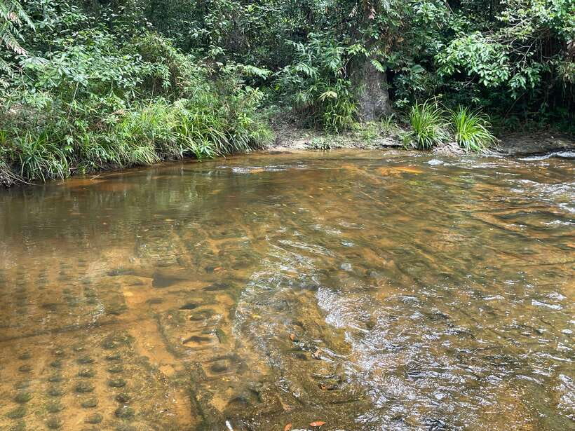 Banteay Srei, Kulen Waterfall & Beng Mealea Small-Group Tour - Local food, fruit, and a taste of the road