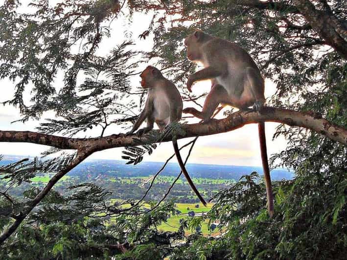 Battambang: Bamboo Train, Bat Cave, Killing Cave by Tuk Tuk - Phnom Sampov and the difficult visit to the Killing Cave