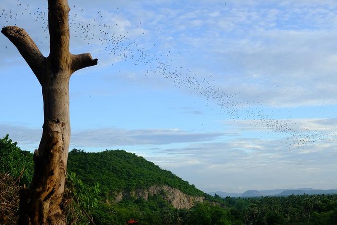 Battambang Full Day Tour from Siem Reap - Bamboo Train, Killing Cave & Sunset - The local stops that give the day its character