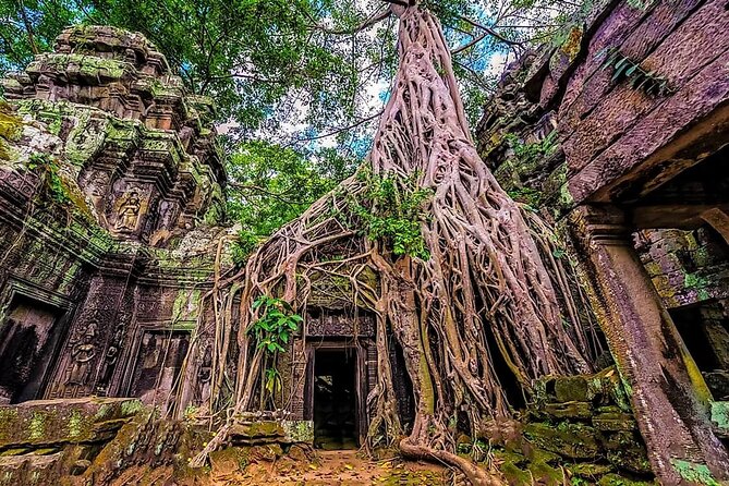 Cambodia 7 Days Tour from Siem Reap to Battambang and Phnom Penh - Ta Prohm and Angkor Wat
