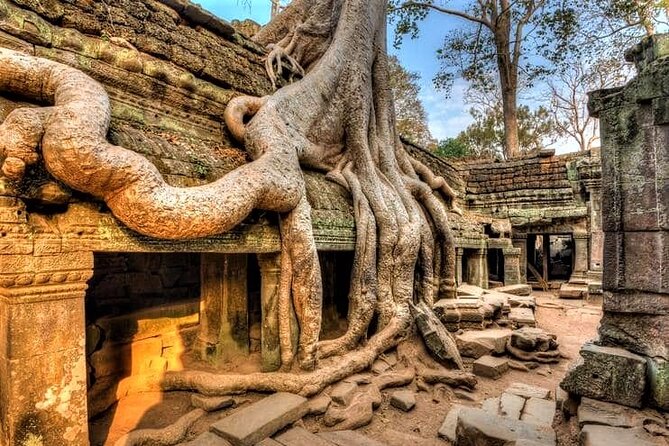 Cambodia Highlight 6 Days Tour from Siem Reap to Phnom Penh - Day 5: Phnom Penh’s royal center and difficult modern history