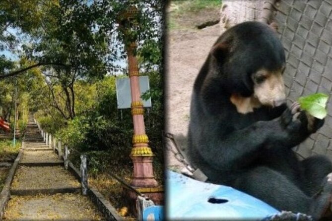 Cambodia Wildlife Sanctuary and Countryside Tour - At a glance: what makes this day different
