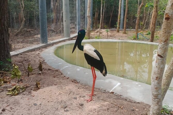 Cambodia Wildlife Sanctuary and Countryside Tour - Timing, pickup, and the shape of the day