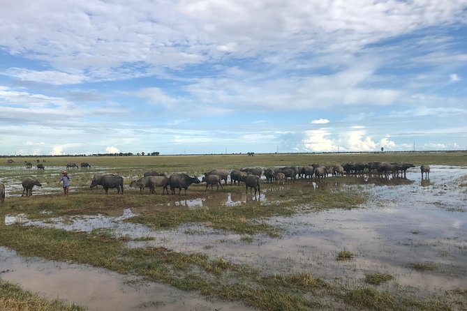 Cambodian Village Life Tour with Lady Tuk Tuk & Local Guide - A duck farm and the animals of the countryside