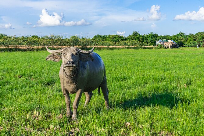 Countryside Sunset Jeep Tour with Drinks included - Wat Po Banteaychey and Khmer spiritual life