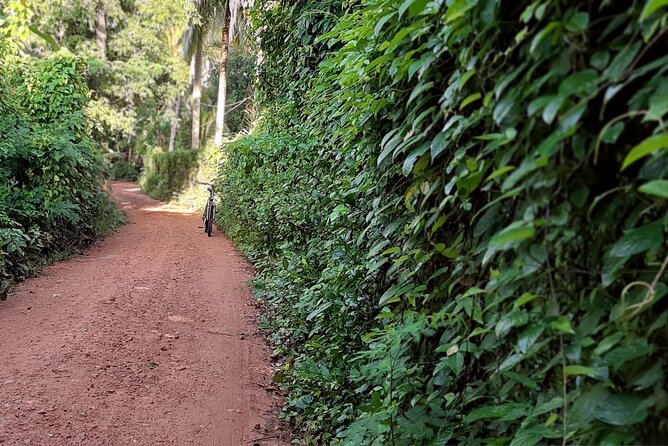 Cultural Cycling Tour - half day (8:00-11:30) - Cycling through real Battambang at an easy pace
