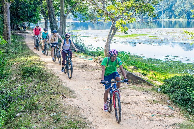 Cycle the Angkor Backroads with lunch / E-Bike or Tuk Tuk - Riding through Angkor Thom to Bayon