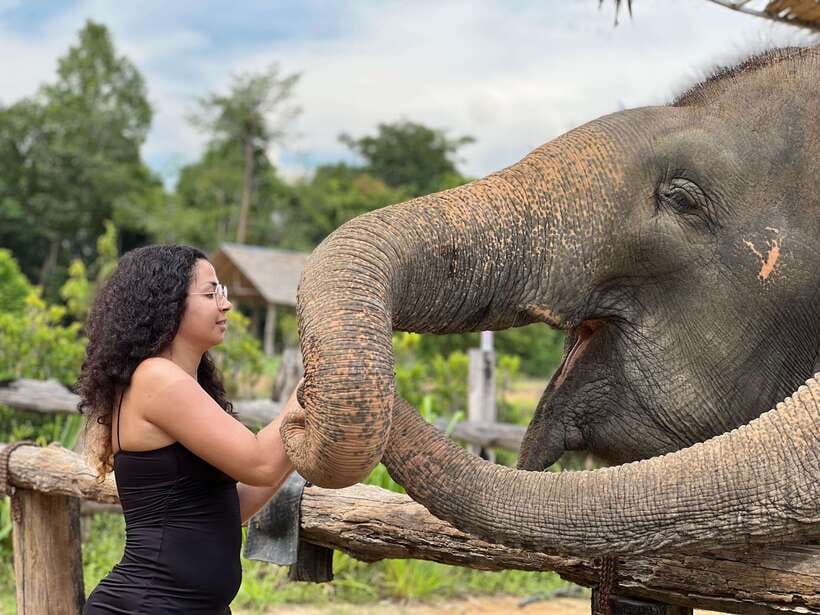 Elephant Sanctuary Cambodia, Pickup and drop off included - Key points at a glance