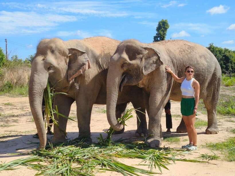 Elephant Sanctuary Cambodia, Pickup and drop off included - Watching the elephants after the activities