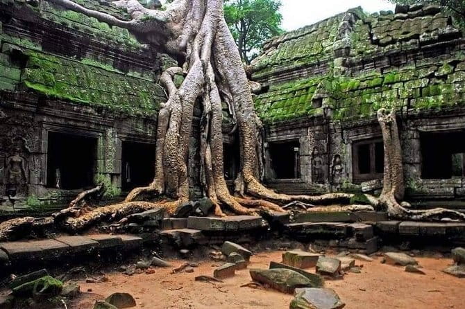 Explore Angkor Wat Sunrise Small Tour Private VIP Car - Angkor Wat gives you the grand opening