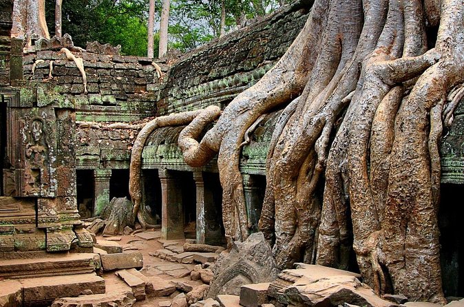 Explore Angkor Wat Temple , Bayon Temple and Jungle Temple Ta-Prohm - Why private transport changes the day