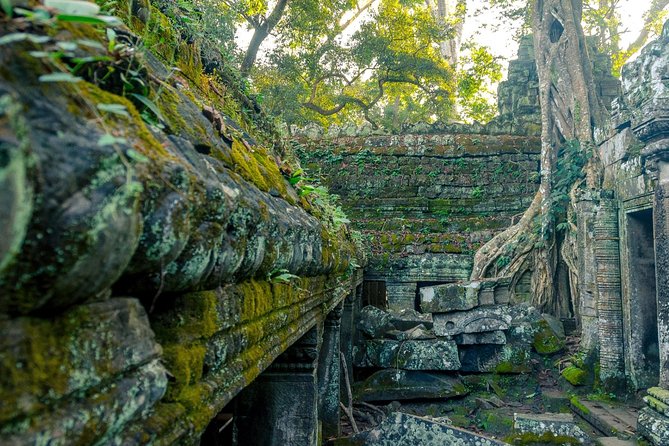 Explore Angkor Wat Temple , Bayon Temple and Jungle Temple Ta-Prohm - Ta Prohm and the trees gripping the ruins