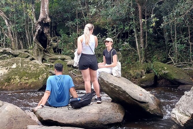 Exploring Bokor National Park Full-Day Tour from Sihanoukville - Leaving Sihanoukville at 7:30 in the morning