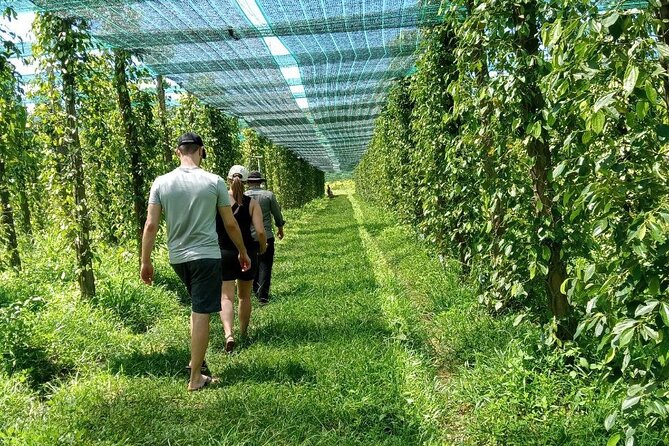 Exploring Kampot: A Memorable Tour from Sihanoukville - Why this Sihanoukville to Kampot route works
